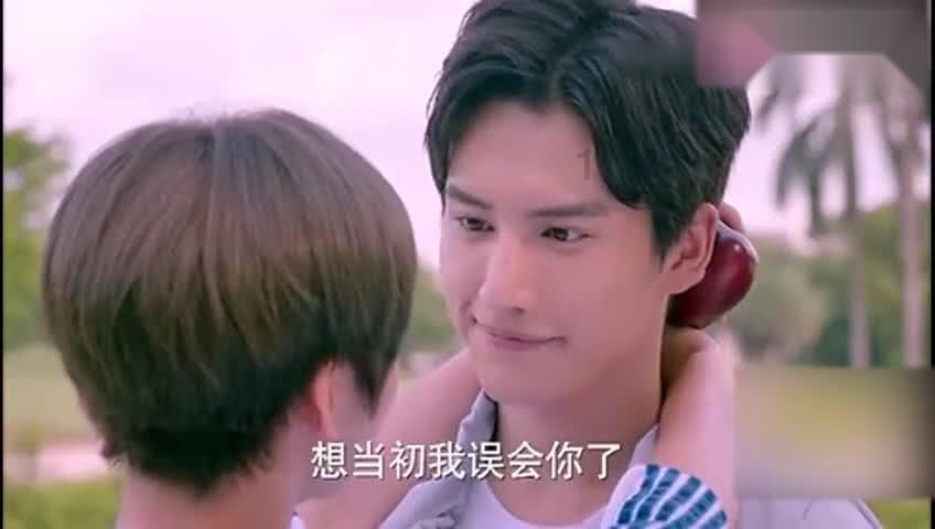 细胞分裂5