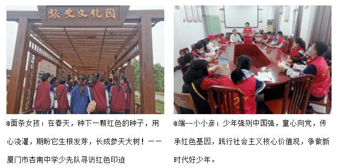 如何熬制汤浓味美的鸡汤游戏画面